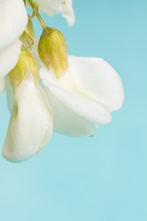 Similar image 20193214