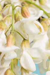 Similar image 20193215