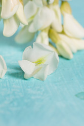 Similar image 20193220