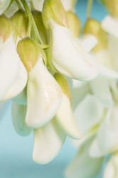 Similar image 20193221