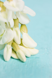 Similar image 20193222