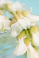 Similar image 20193245