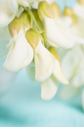 Similar image 20193247