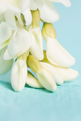 Similar image 20193249