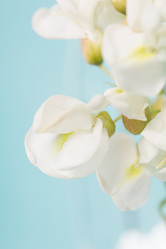 Similar image 20193250