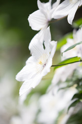 Similar image 20193254