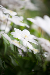 Similar image 20193256