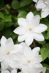 Similar image 20193259