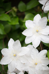 Similar image 20193260