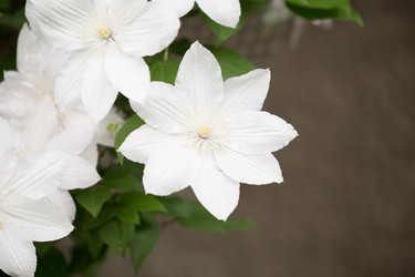 Similar image 20193261