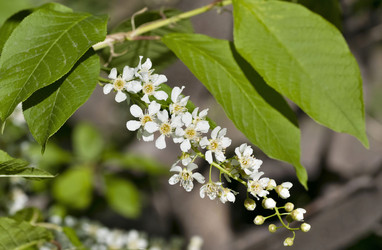 Similar image 20174533