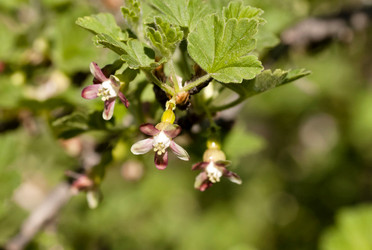 Similar image 20174538