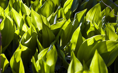 Similar image 20174575