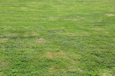 Similar image 20174580