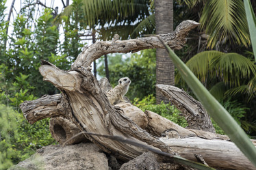 Similar image 20174627