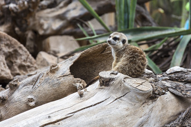 Similar image 20174630