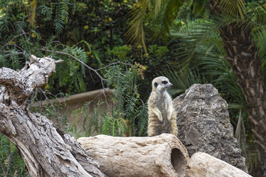 Similar image 20175160