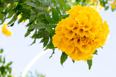 Similar image 20192213