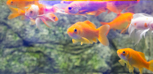 Similar image 20192214