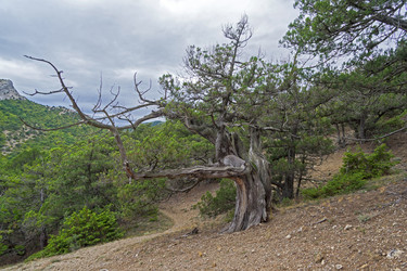 Similar image 20193286