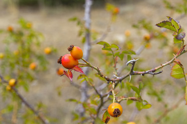 Similar image 20193287