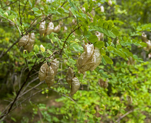 Similar image 20193292