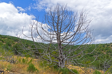 Similar image 20193322