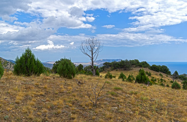 Similar image 20193294