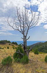 Similar image 20193295