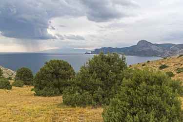 Similar image 20193304