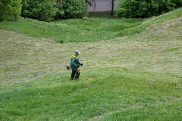 Similar image 20193074