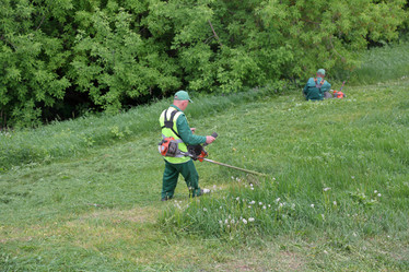 Similar image 20193075