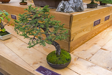 Similar image 20193331