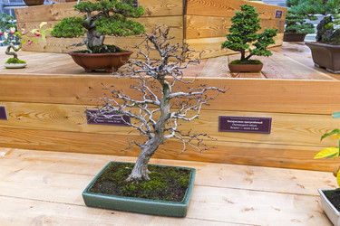 Similar image 20193333