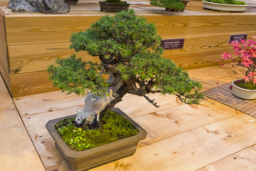 Similar image 20193339