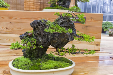 Similar image 20193343