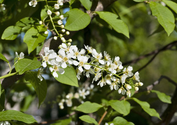 Similar image 20192209