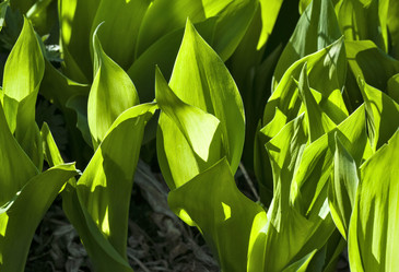 Similar image 20192225