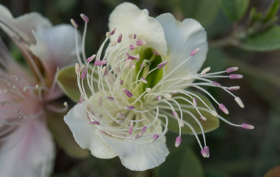 Similar image 20193079