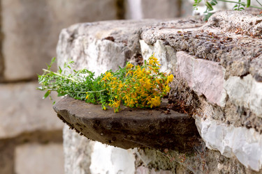 Similar image 20192344