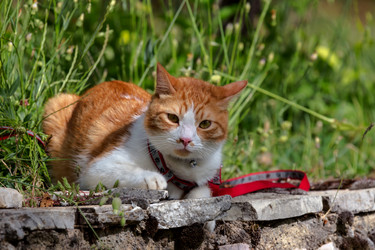 Similar image 20192345