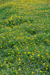 Similar image 20193087