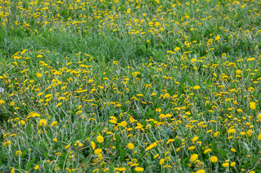 Similar image 20193088