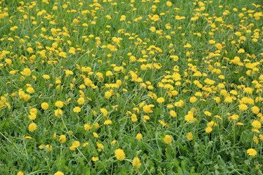 Similar image 20193092