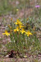 Similar image 20193118