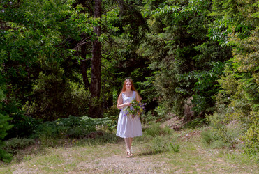 Similar image 20193119