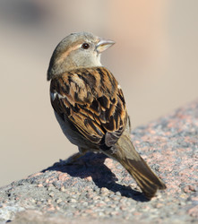 Similar image 20193059