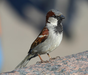 Similar image 20193061