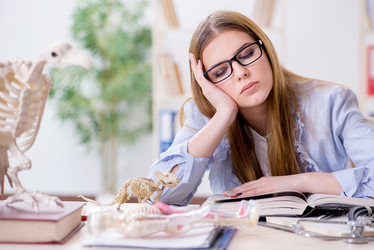 Similar image 20193711