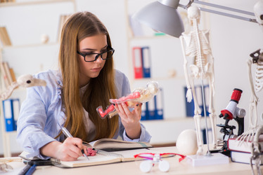 Similar image 20193722